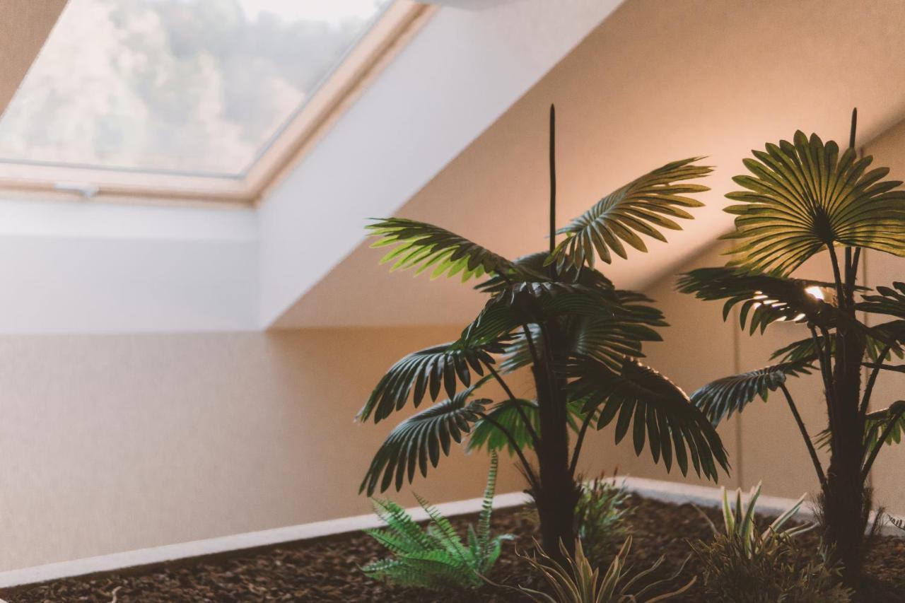 Hotel Candor San Salvador Zewnętrze zdjęcie